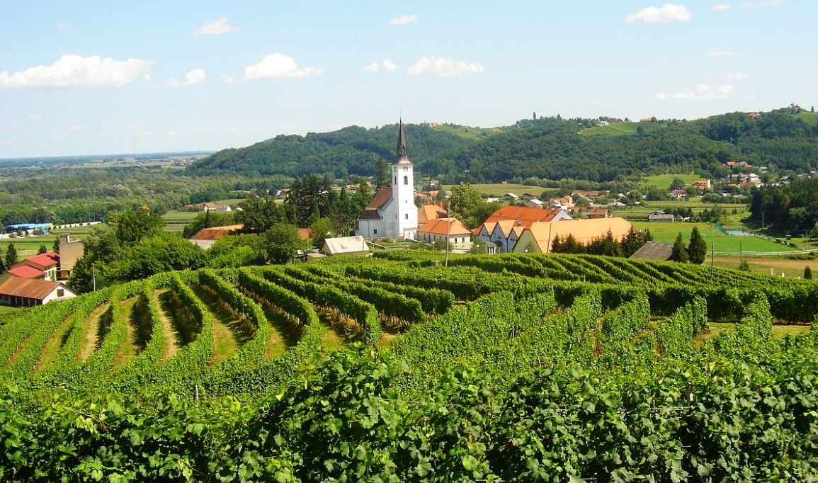 Slovenia Tips - Wineries