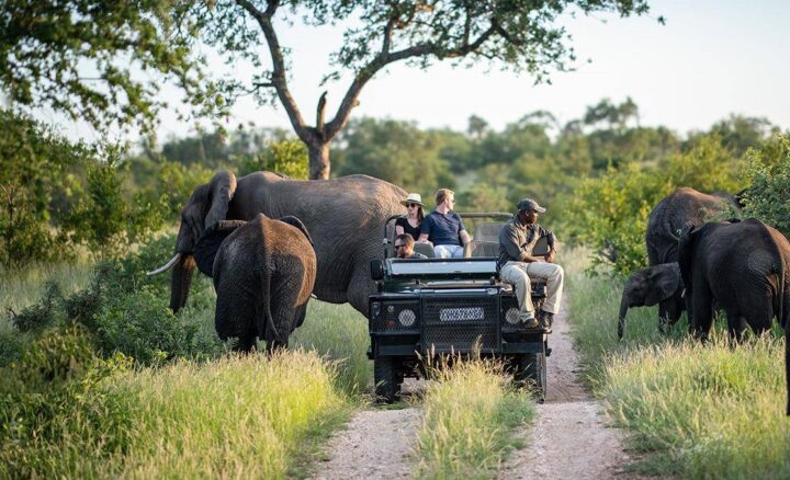 Best Safari Parks in Africa