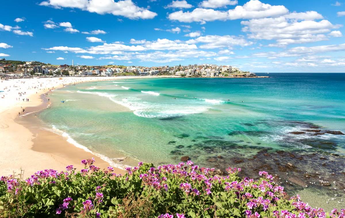 The Best Beaches in Sydney - Bondi Beach