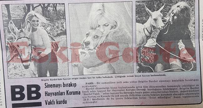 Brigitte Bardot sinemayı bırakıp Hayvanları Koruma Vakfı kurdu